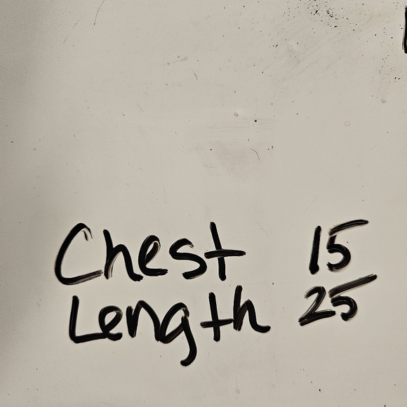 Y2K Paisley Mesh Peasant Top Whimsigoth Sheer XS Coquette Fairy Goth Artsy Boho - Picture 14 of 14